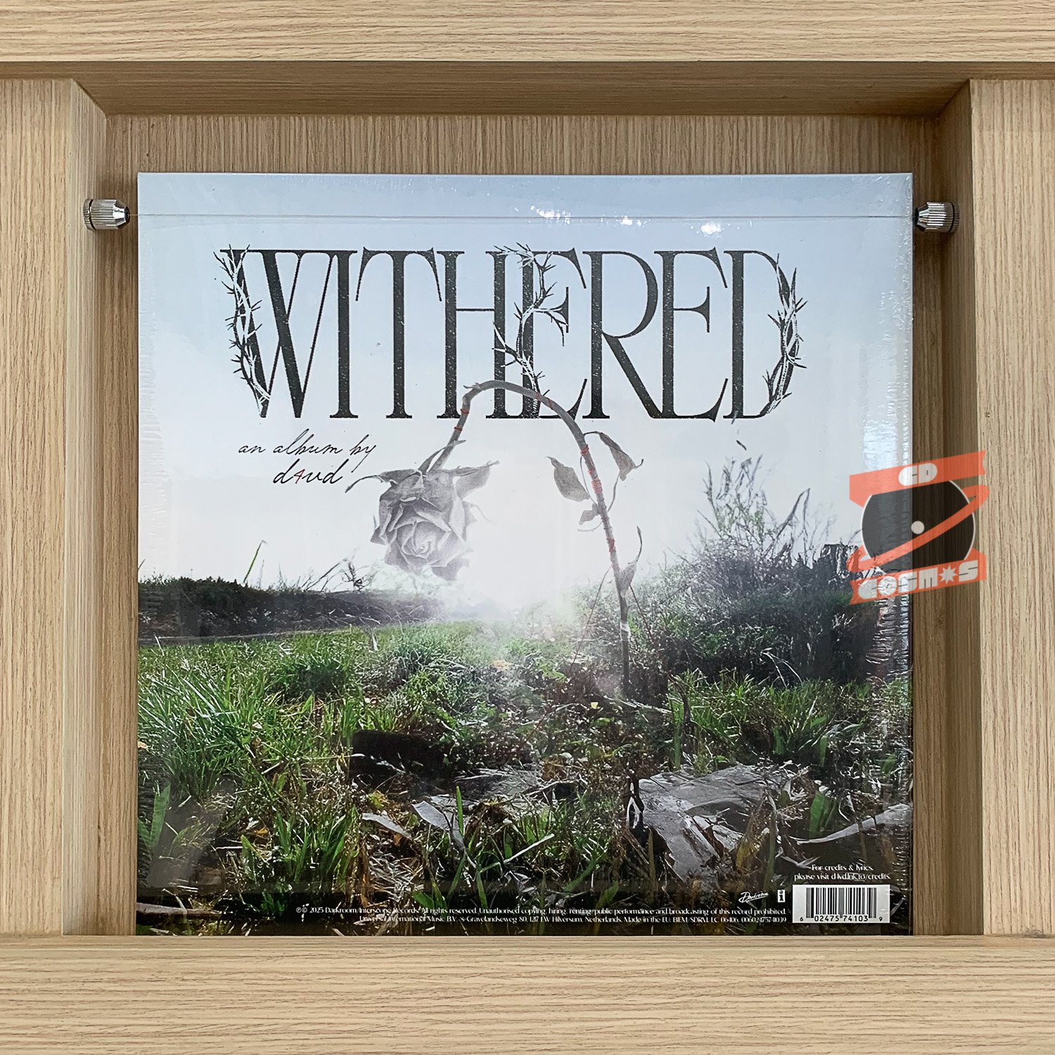 D4VD - Withered (White Vinyl)