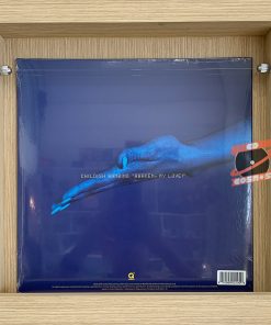 Childish Gambino - Awaken, My Love!