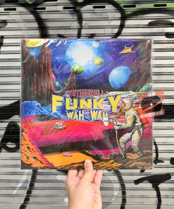 Funky Wah Wah - Synthderella