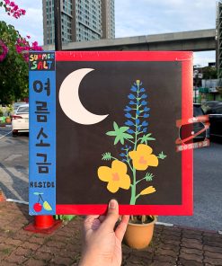 Summer Salt – Reside