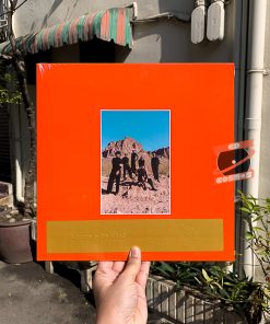 Leisure – Welcome To The Mood (Orange Vinyl)