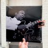 B.B. KING - The Essential Collection