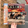 Anderson .Paak – Malibu (Zoetrope Picture Disc 10year Anniversary Edition)