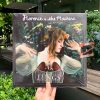 Florence + The Machine - Lungs