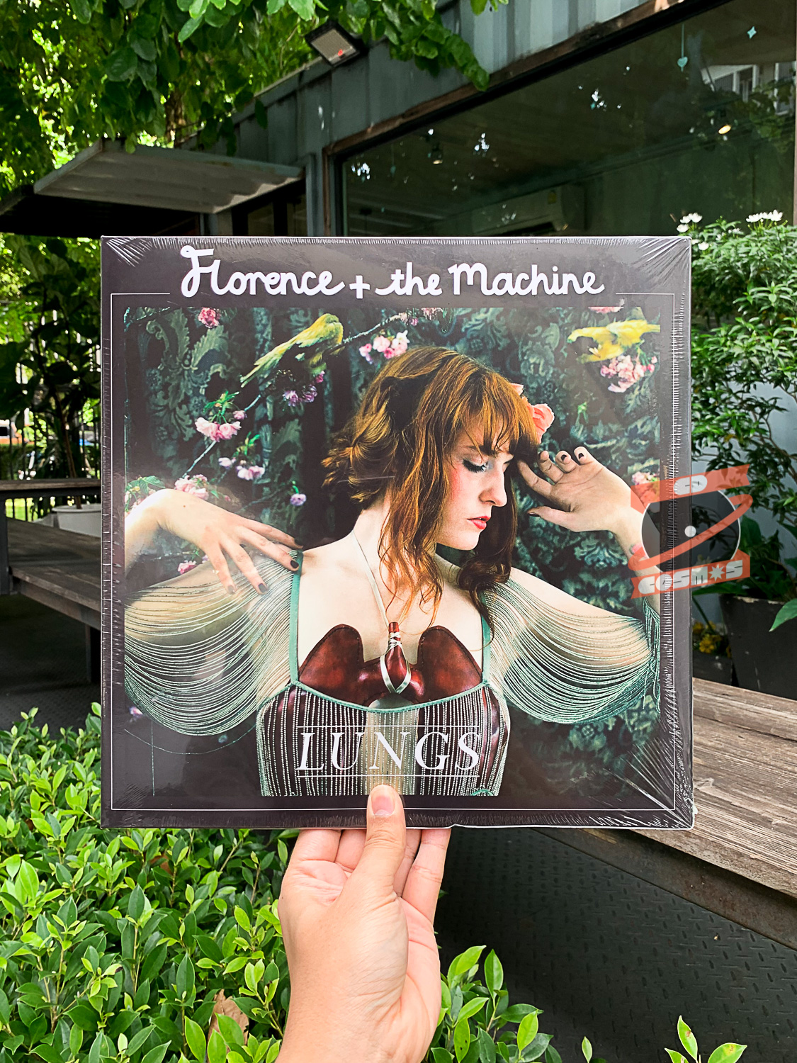 Florence + The Machine - Lungs