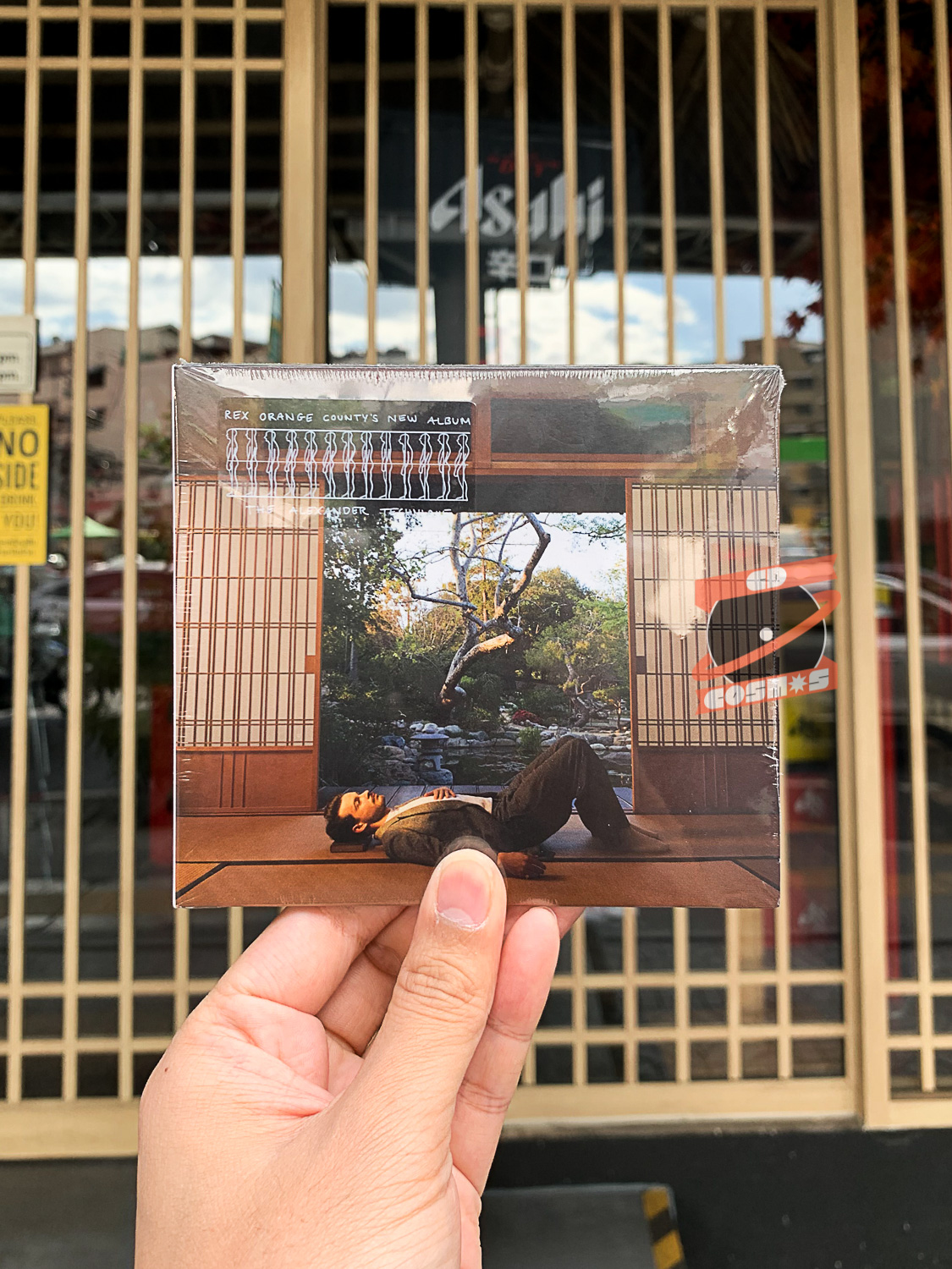 Rex Orange County - The Alexander Technique (CD)