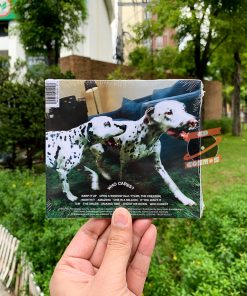 Rex Orange County – Who Cares? (CD)